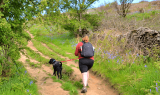 Campervan Holidays in the Peak District